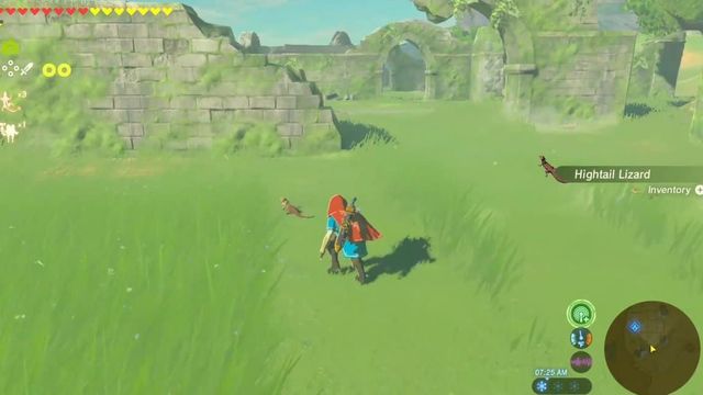 Farmer les lézards à queue haute - Zelda : Breath Of The Wild