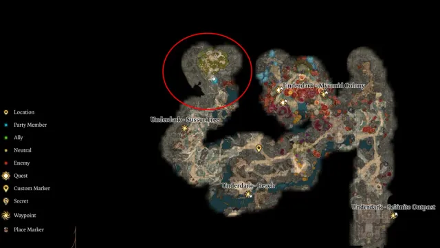 Baldur’s Gate 3 : Comment obtenir le champignon Noblestalk ?