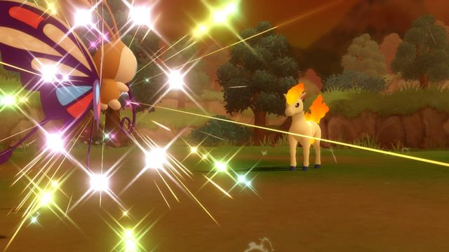 Pokémon Brilliant Diamond & Shining Pearl : Guide de chasse brillant