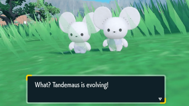 Comment faire évoluer Tandemaus en Maushold dans Pokemon : Ecarlate et Violet