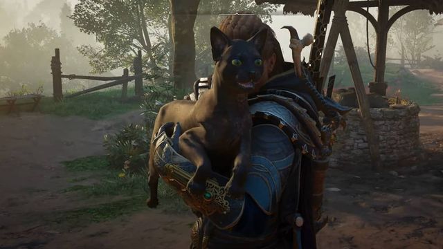 Assassin's Creed Valhalla : Guide des emplacements des chats