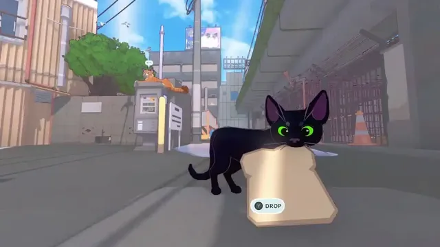 Little Kitty Big City : Tous les emplacements Shinyes