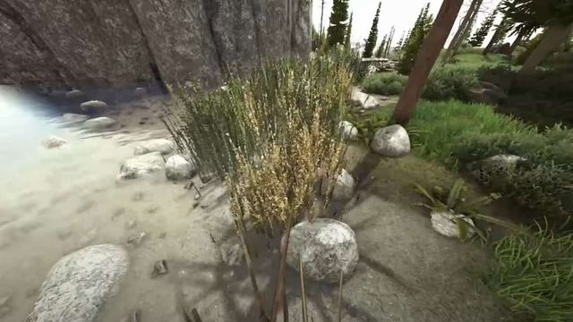 Ark : Emplacements de la soie de Fjordur