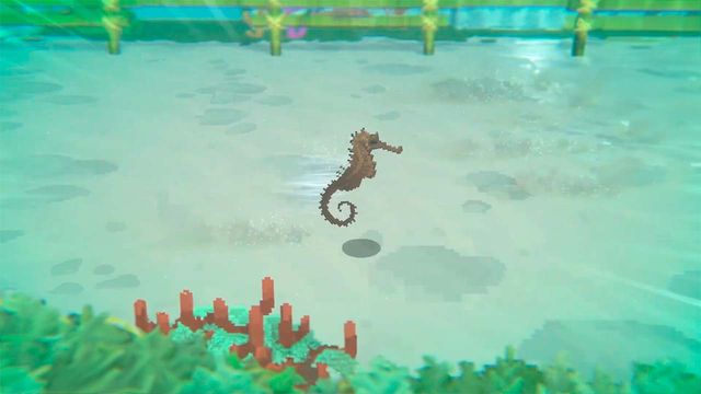 Dave The Diver : Attraper des hippocampes