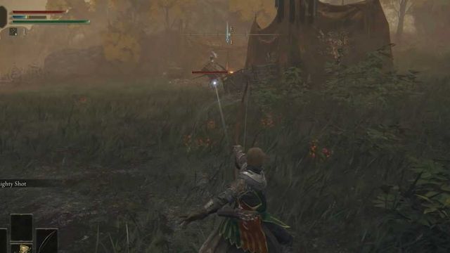 Où trouver le frère de D dans Elden Ring