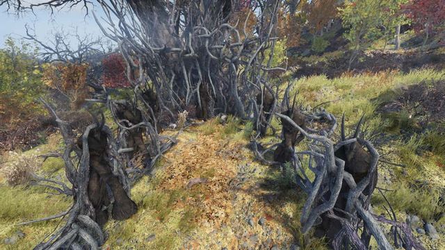 Guide des emplacements des cultistes de Fallout 76