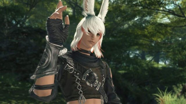 Comment débloquer de nouvelles coiffures Viera dans Final Fantasy 14