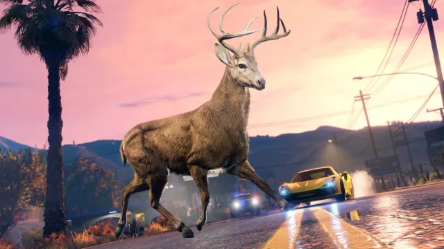 GTA Online : Les 15 emplacements d'animaux de pour le défi de la photographie animalière