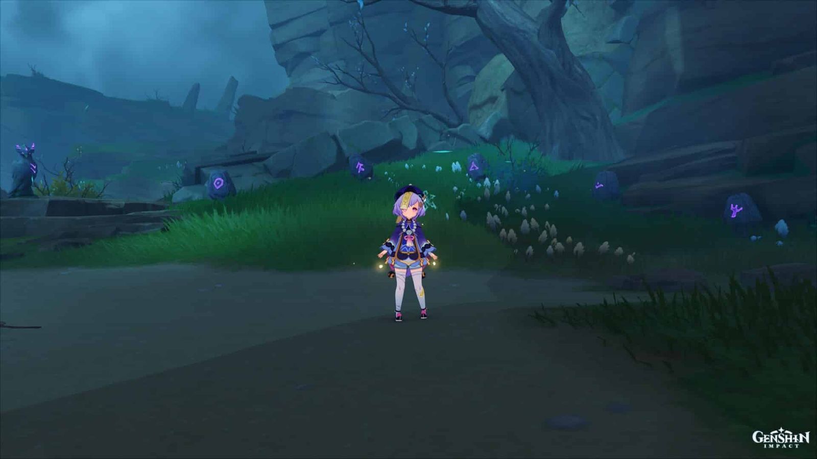 Genshin Impact : Guide de puzzle Wakukau Shoal Mystery of the Stones