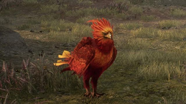 Hogwarts Legacy : Guide de localisation de Phénix