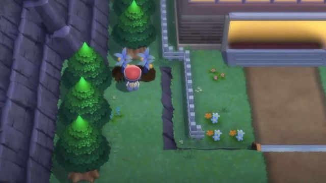 Pokemon BDSP : Comment faire pousser des baies