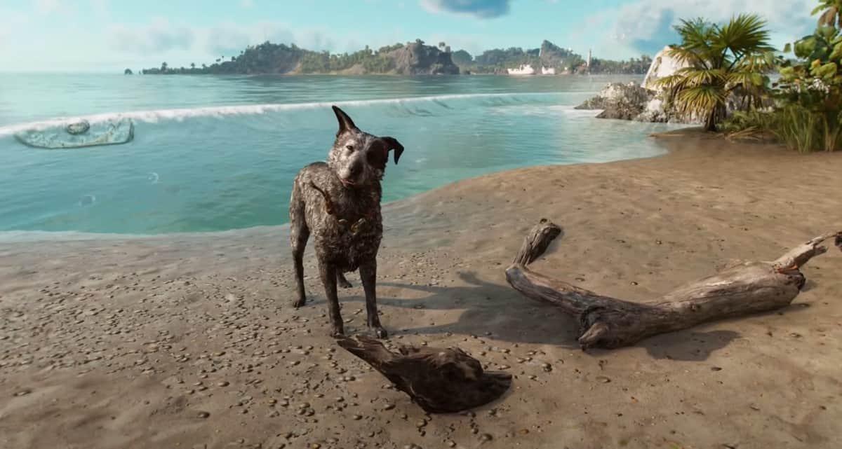 Far Cry 6 : Comment débloquer Boom Boom