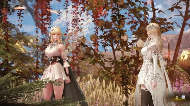 Lost Ark : Comment utiliser la Clé d'équilibre pour accéder à la Porte de l'Harmonie