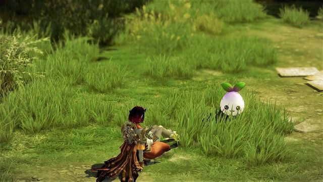 Lost Ark : Histoires cachées de l'Est de Luterra Tome Aventure