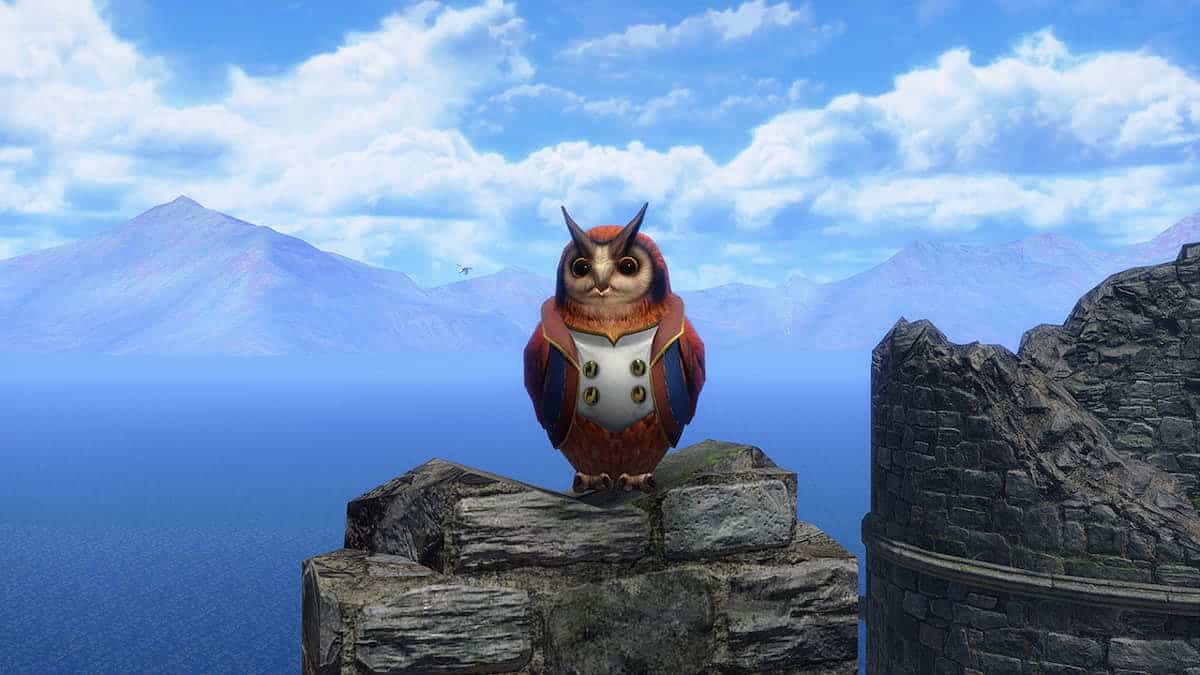 Monster Hunter Rise : Sunbreak - Où trouver les trois cohos d'Elgado
