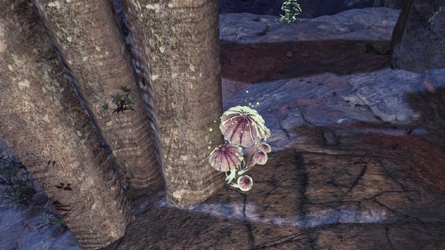Monster Hunter World : Où trouver des capsules de champignons gastronomiques