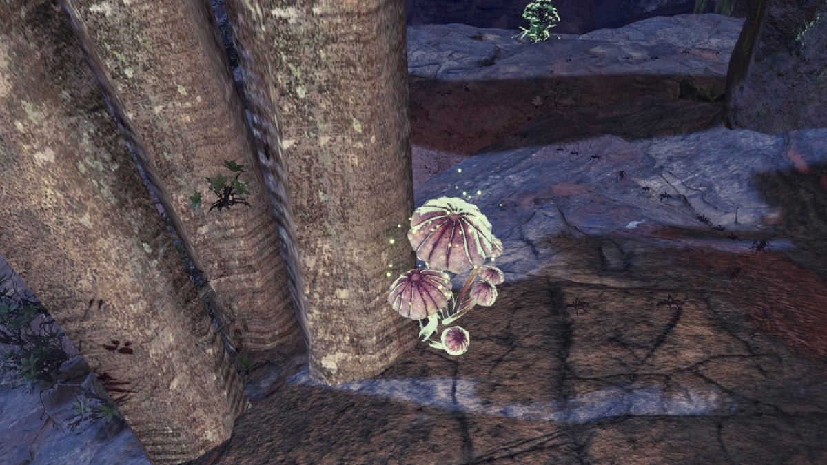 Monster Hunter World : Où trouver des capsules de champignons gastronomiques