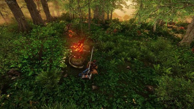 New World : Où trouver de la peau de fer