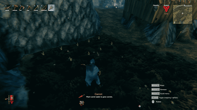 Valheim : Comment planter des graines
