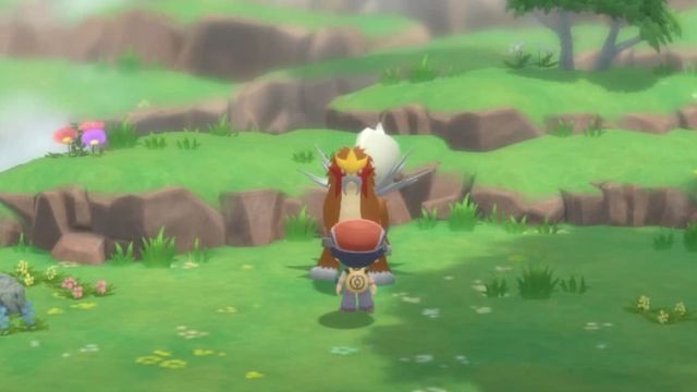 Pokemon BDSP : Emplacement de Entei