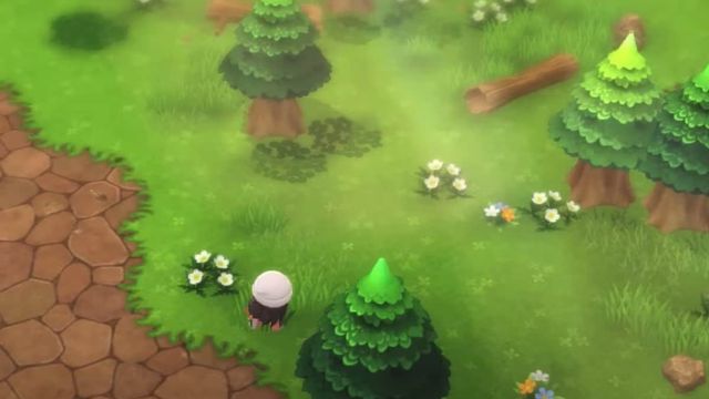 Pokémon DB et PB : Guide du miel