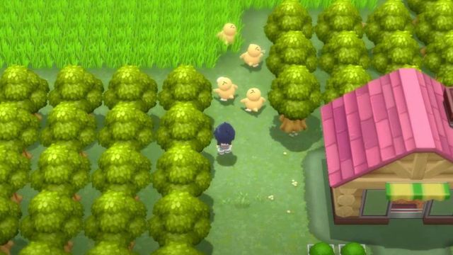 Pokémon DB et PB : Guide des emplacements du tuteur de mouvement