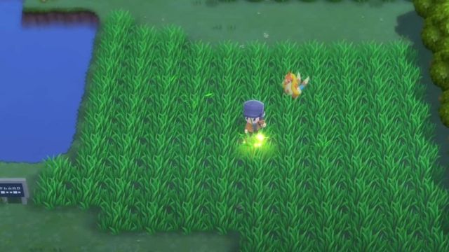 Pokemon BDSP : Guide des éléments de récupération