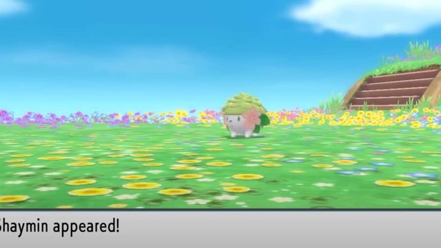 Pokemon BDSP : Emplacement de Shaymin, Comment évoluer, Type et Capacités
