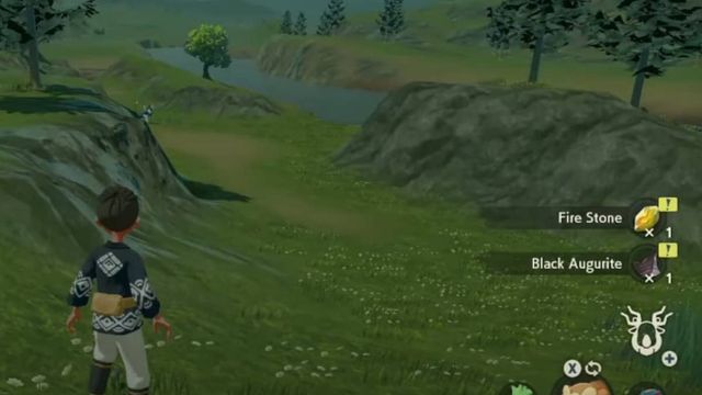 Pokemon Legends : Arceus - Où trouver l'augurite noire
