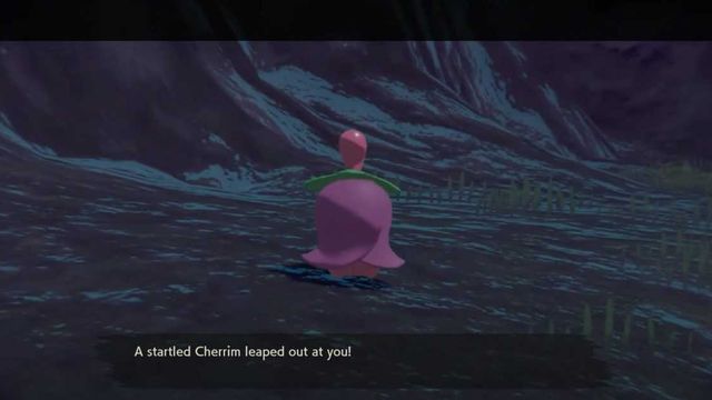 Pokemon Legends : Arceus - Cherrim Emplacement, comment évoluer