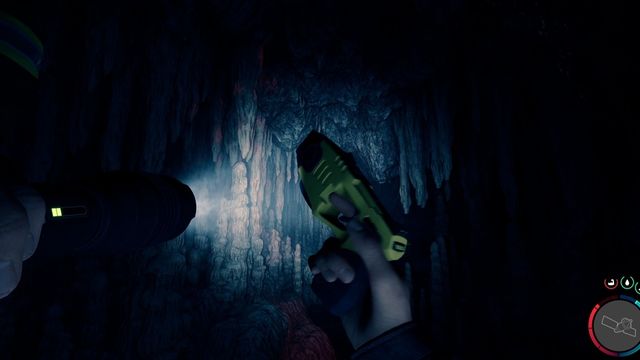 Sons of the Forest  : Comment obtenir le pistolet paralysant
