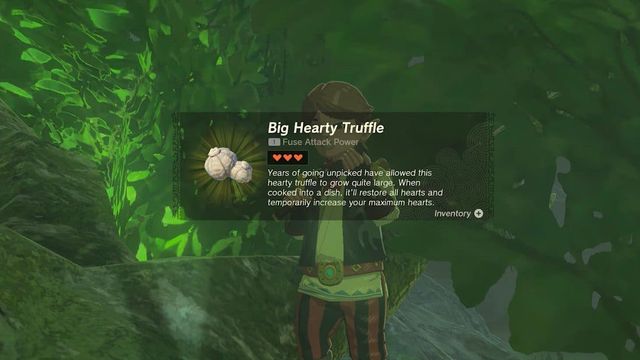 Plan du joueur de flûte - Zelda: Tears Of The Kingdom
