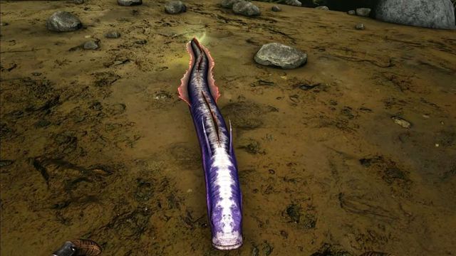 Ark : Aberration - Guide de localisation et d'apprivoisement de la lamproie