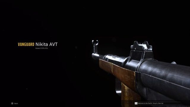 Le meilleur chargement Nikita AVT dans Call of Duty: Warzone