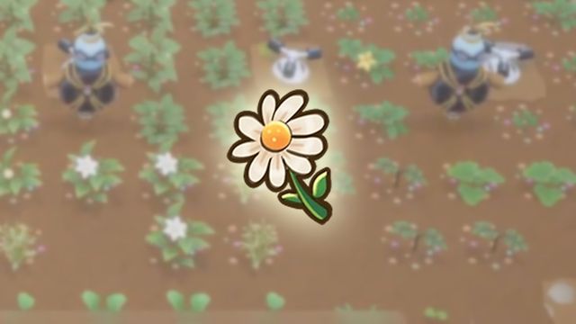 Coral Island : Comment obtenir (et utiliser) Daisy