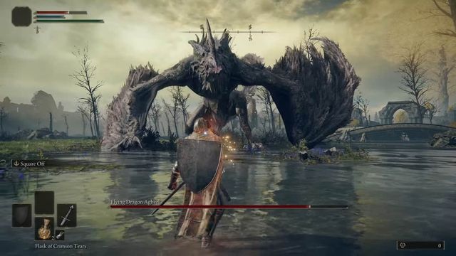 Elden Ring : Ruines brûlées du dragon