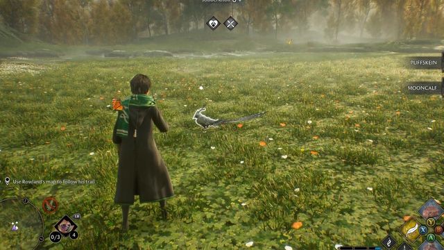 Hogwarts Legacy : Comment améliorer le Vivarium et débloquer plus de biomes