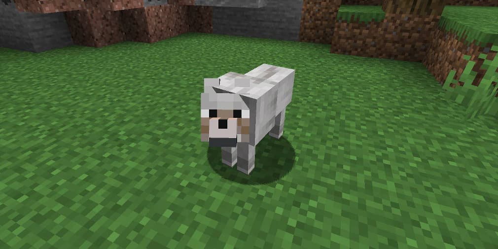 Minecraft : Comment élever des loups