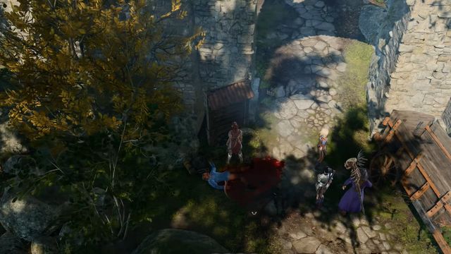 Baldur's Gate 3 : Comment infliger des dégâts non mortels