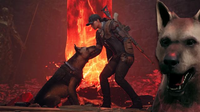 Remnant 2 : Pouvez-vous caresser le chien ?
