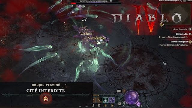 Diablo 4 : Nécromancien Brume infinie