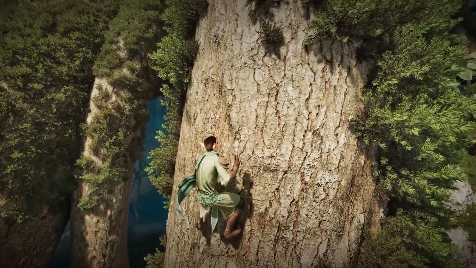 Aperçu de l'escalade et de la navigation dans la végétation dans Smalland 2: Lost Realms