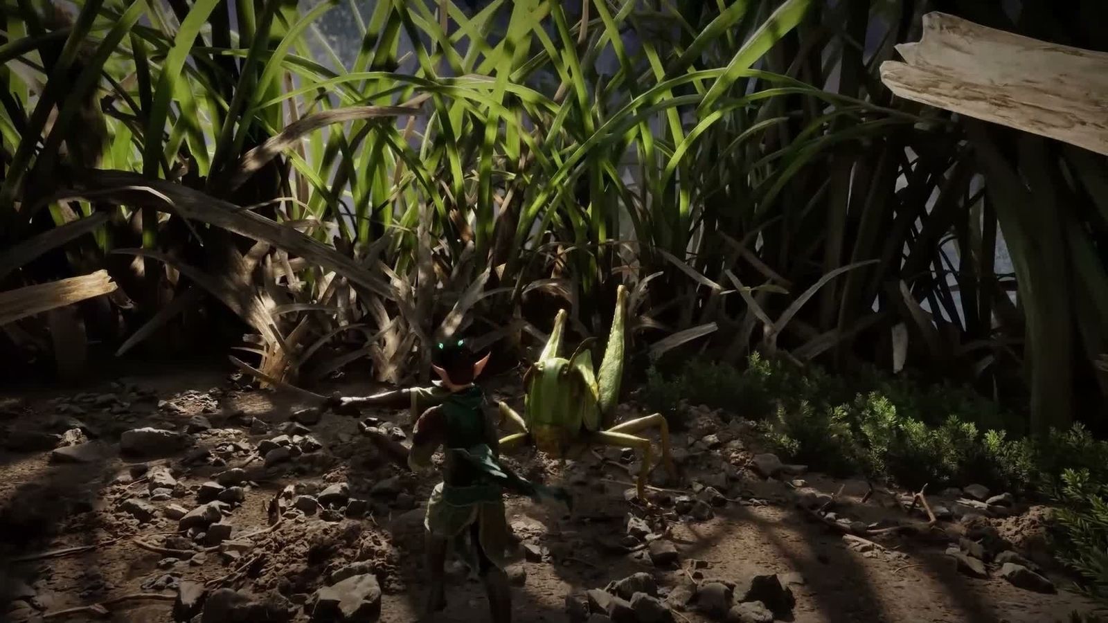 Exploration d'un sous-bois verdoyant et mystérieux dans Smalland 2: Lost Realms
