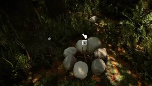 Comment corriger le bug d'extinction du feu de Sons of the Forest ?