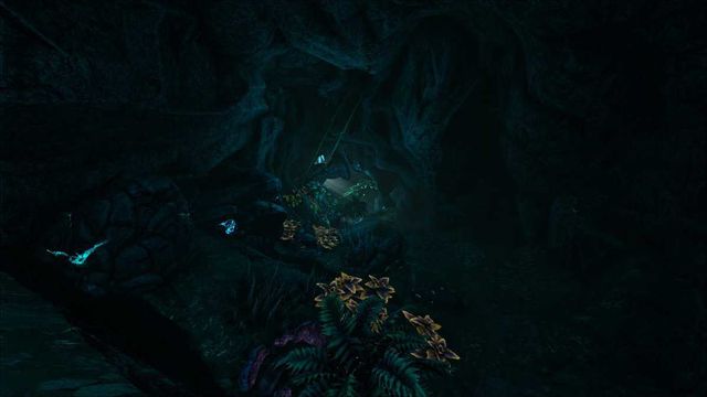 Ark : The Center - Emplacements des grottes et carte de butin