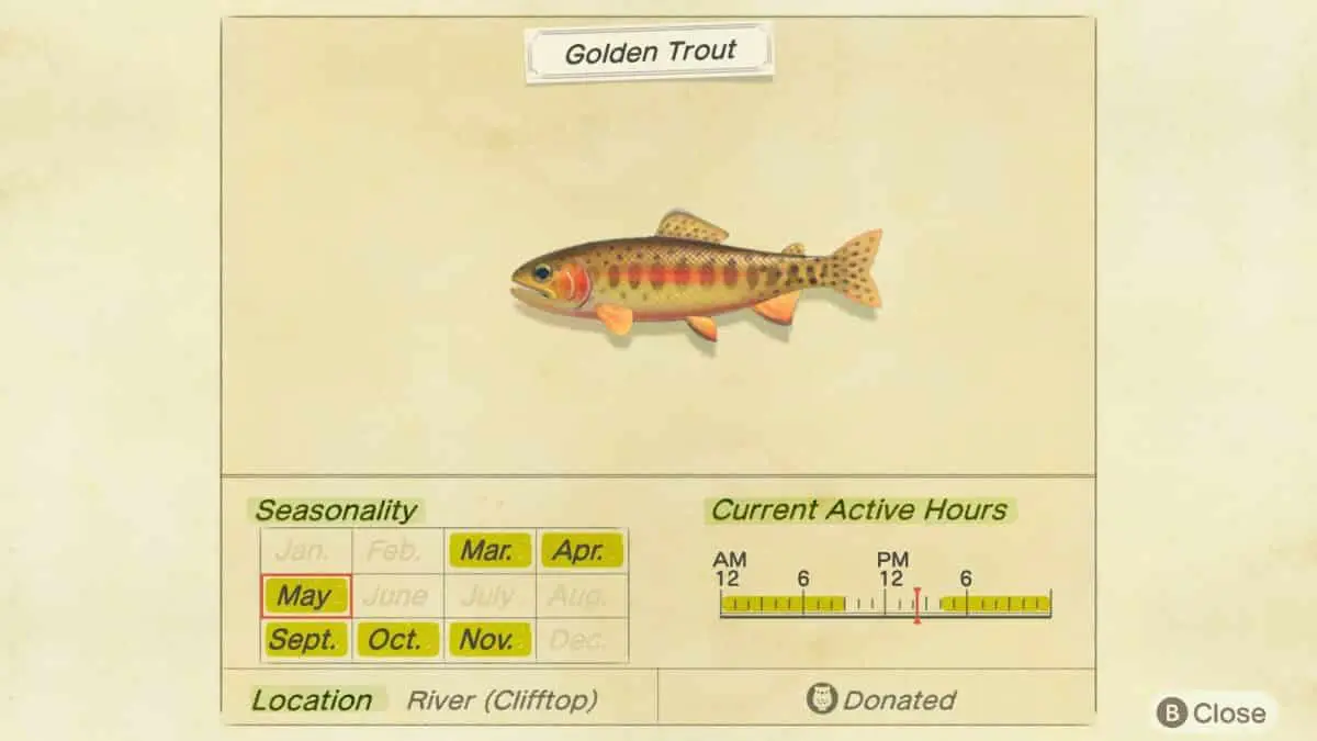 Comment attraper la truite dorée rare dans Animal Crossing New Horizons