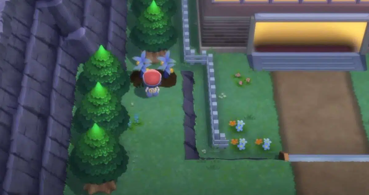 Pokemon BDSP : Comment faire pousser des baies