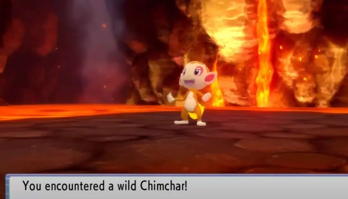 Pokemon BDSP : Emplacement de Chimchar, comment évoluer, type et aptitudes