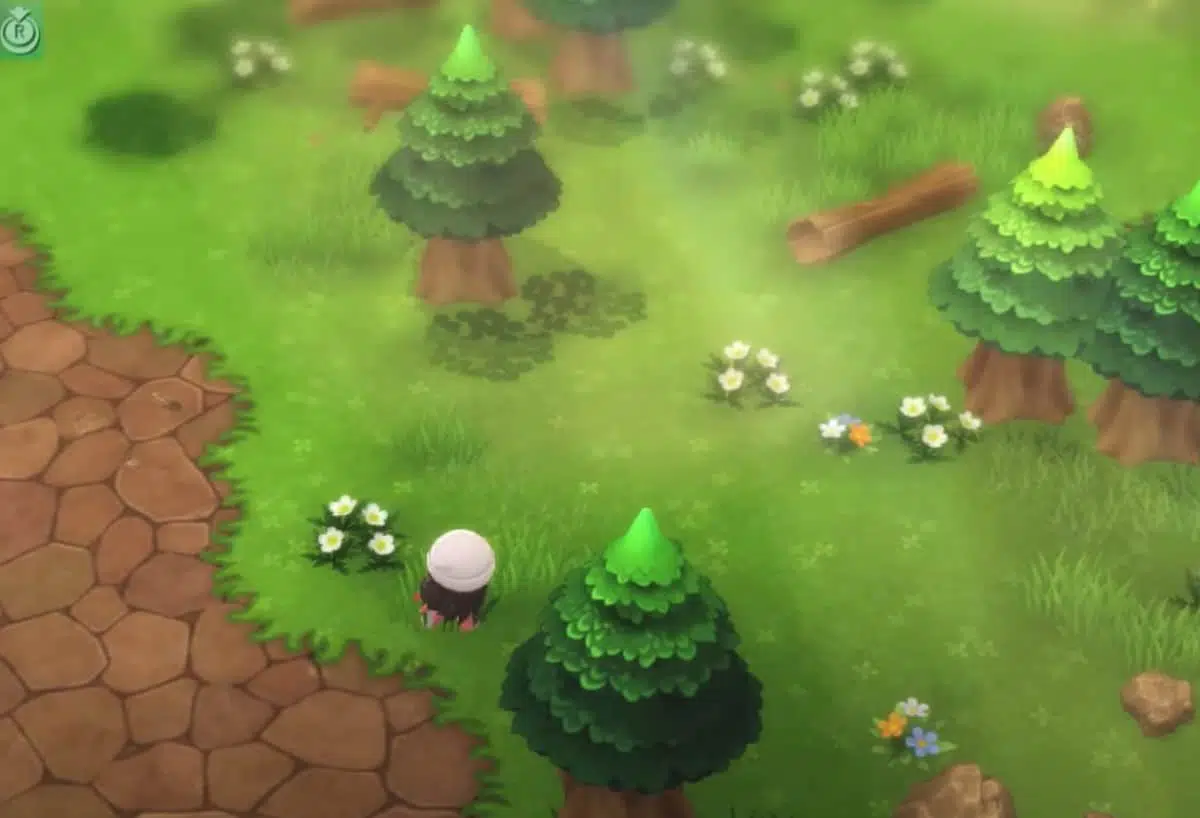 Pokémon DB et PB : Guide du miel