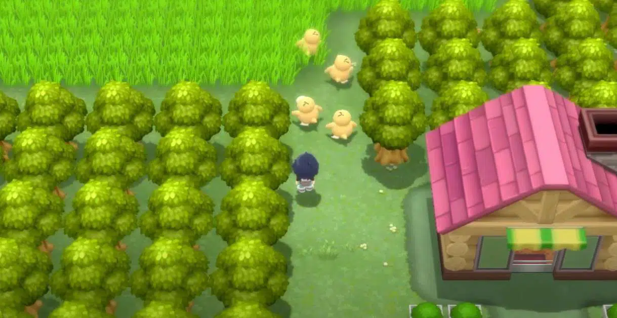 Pokémon DB et PB : Guide des emplacements du tuteur de mouvement